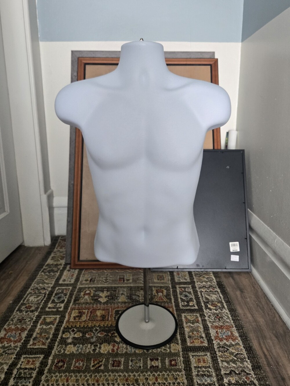 Male Torso Display Mannequin